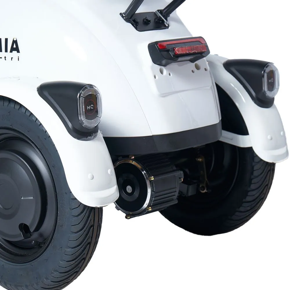 MIA TRI 800W — triciclo elétrico MotoChefe em Bauru, foto 2
